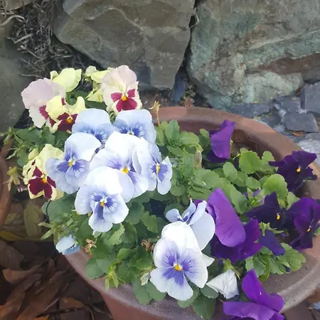 La Hacienda Alpstuga